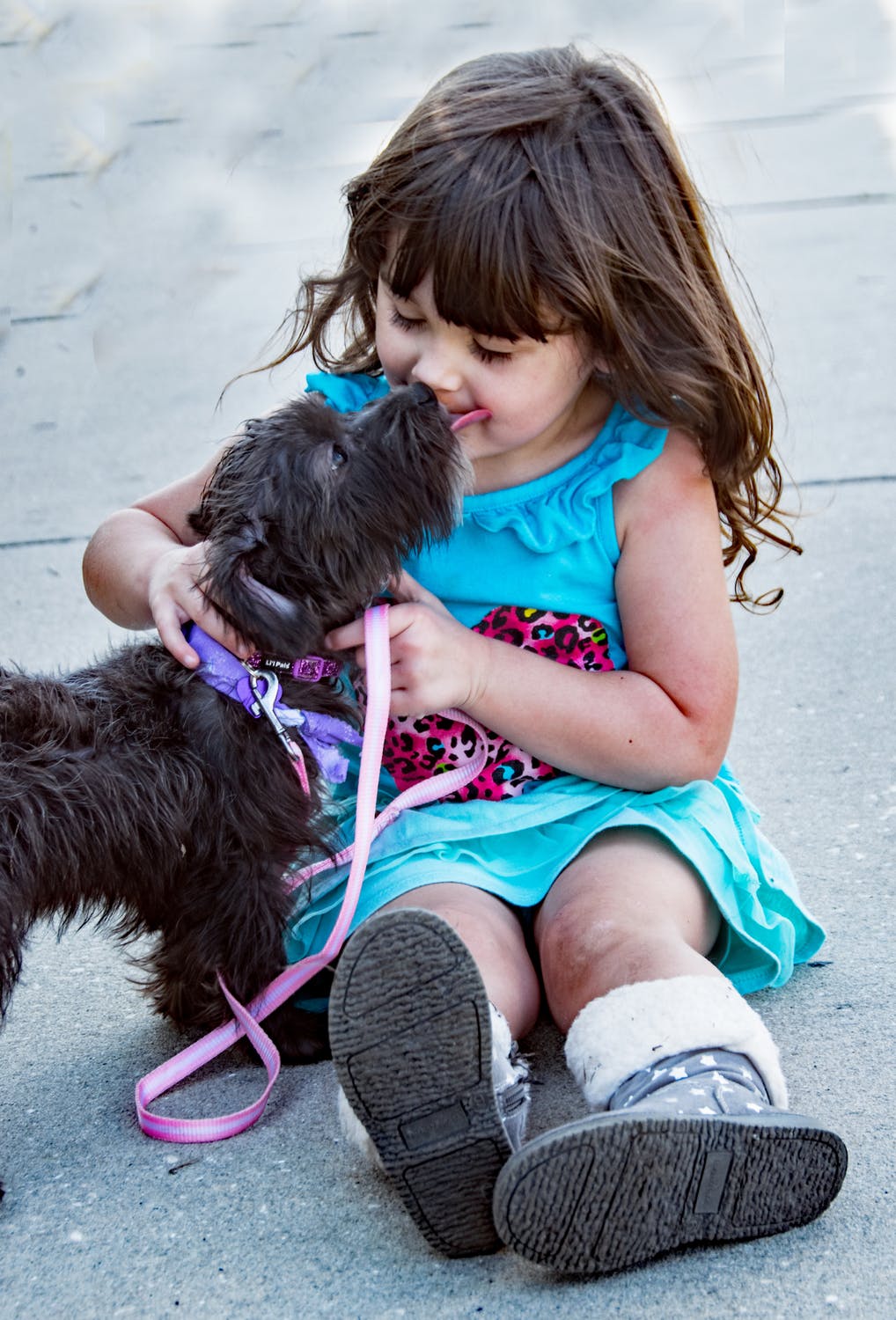infants and dogs